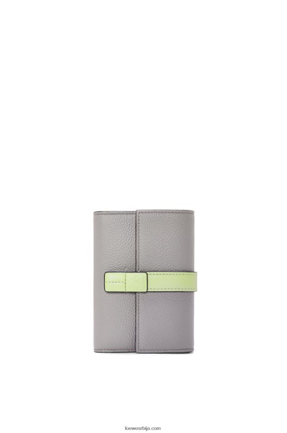 Loewe Жене мали вертикални новчаник од мекане телеће коже бисерно сива/светло бледо зелена HJTY1252