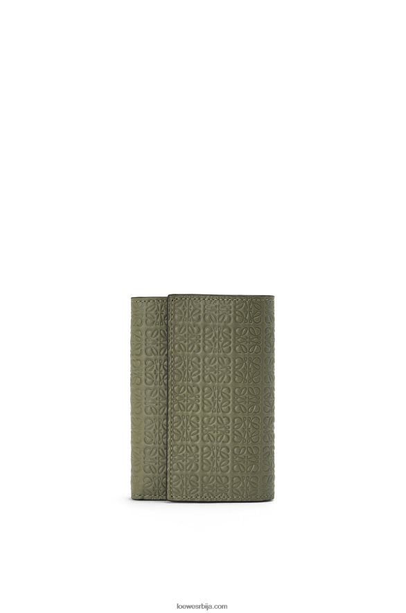 Loewe Жене поновите мали вертикални новчаник од рељефне свилене телеће коже зелени авокадо HJTY1279