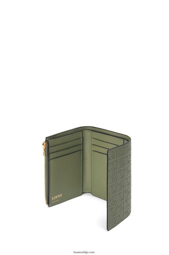 Loewe Жене поновите мали вертикални новчаник од рељефне свилене телеће коже зелени авокадо HJTY1279