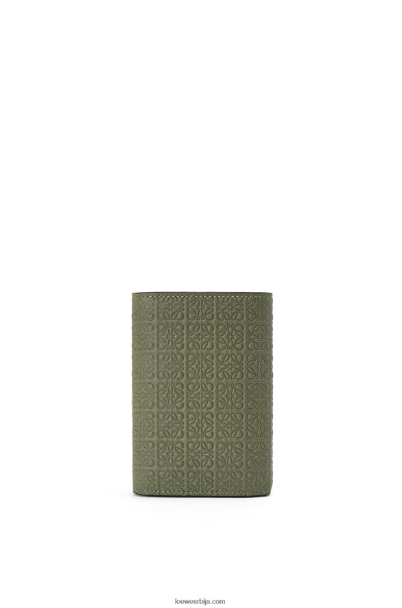 Loewe Жене поновите мали вертикални новчаник од рељефне свилене телеће коже зелени авокадо HJTY1279