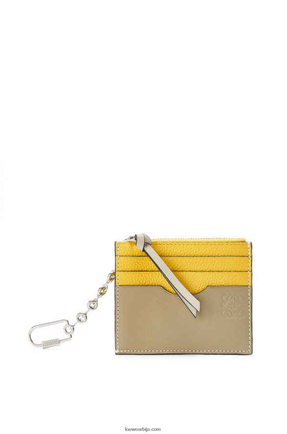 Loewe Жене квадратни држач картице од мекане телеће коже са ланцем жуто / глинено зелено HJTY1383