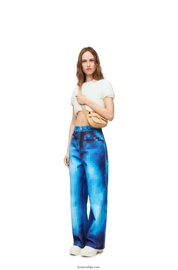 Loewe Жене мини гате дупла торба од меке телеће коже и жакарда маслац HJTY209
