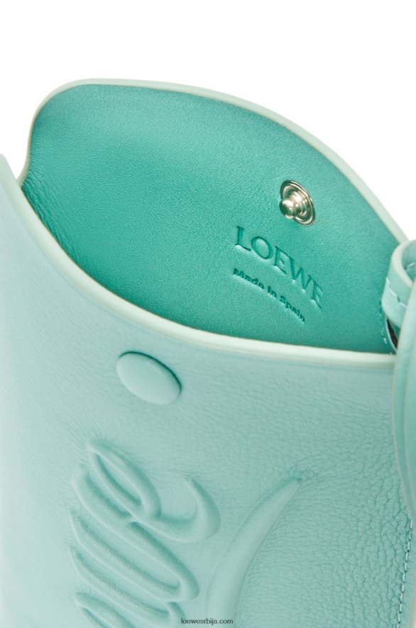 Loewe Жене лооп торбица од класичне телеће коже бомбона HJTY594